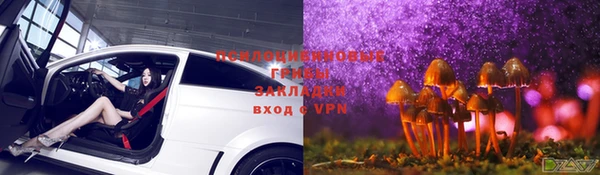 дурь Лихославль