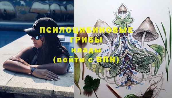 гидра Липки