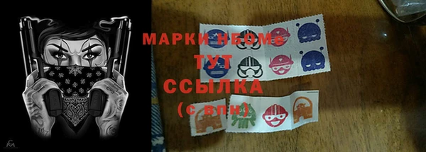 гидра Липки
