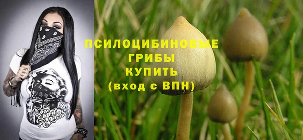первитин Абаза