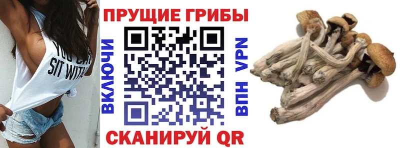 кракен вход Алатырь Галлюциногенные грибы мухоморы